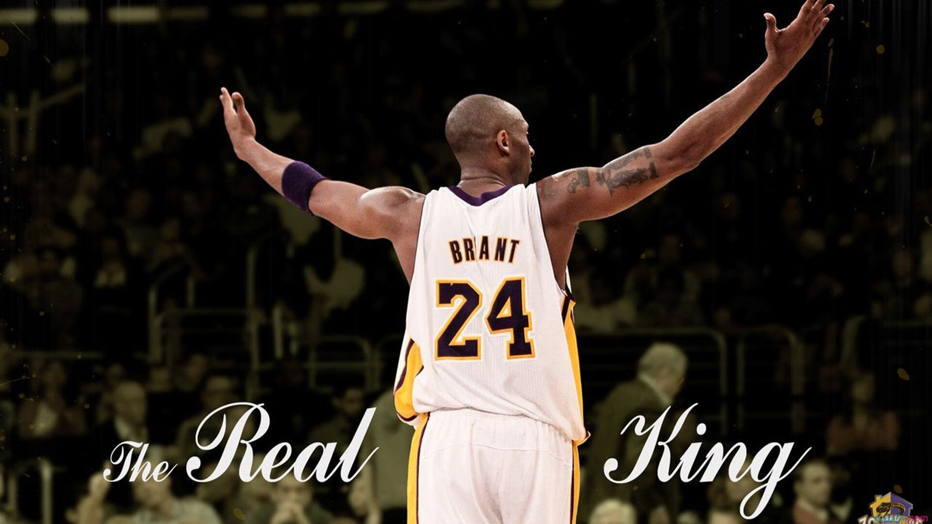 乌鸦攻防全面，球队状态进入巅峰期，乌鸦打法